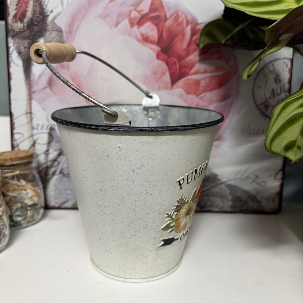 Pumpkin Patch Metal Bucket Planter