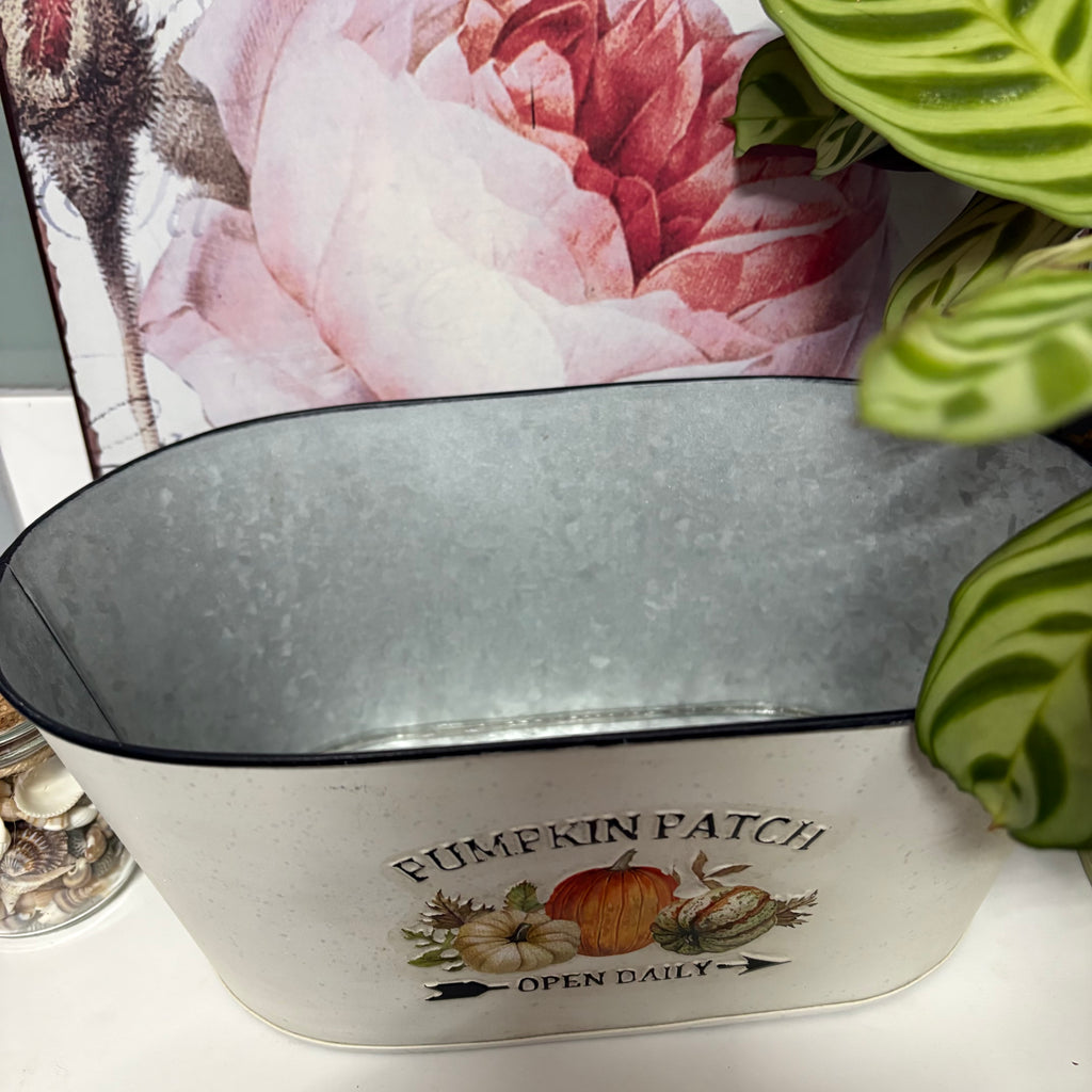 Pumpkin Patch Metal Oval Planter