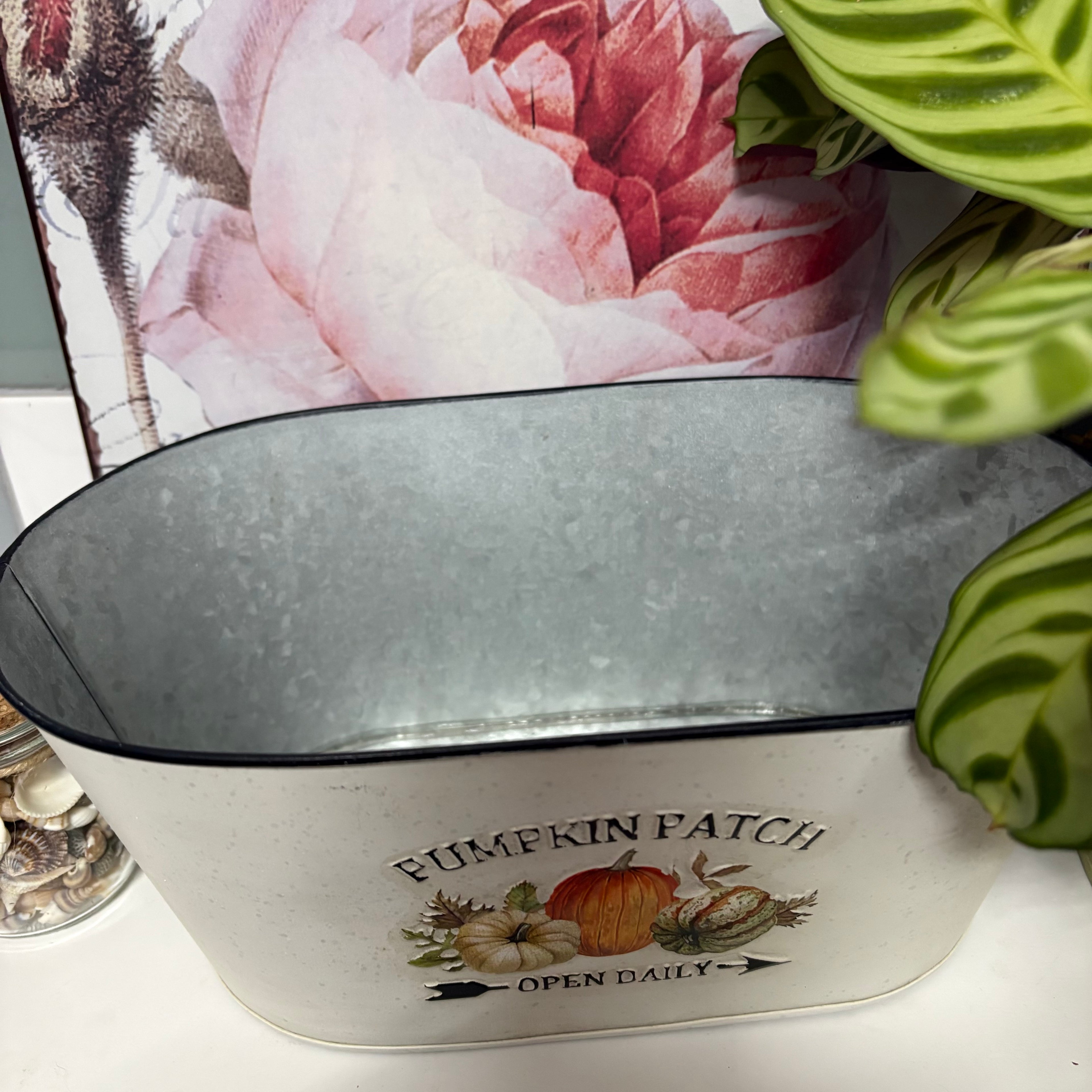 Pumpkin Patch Metal Oval Planter