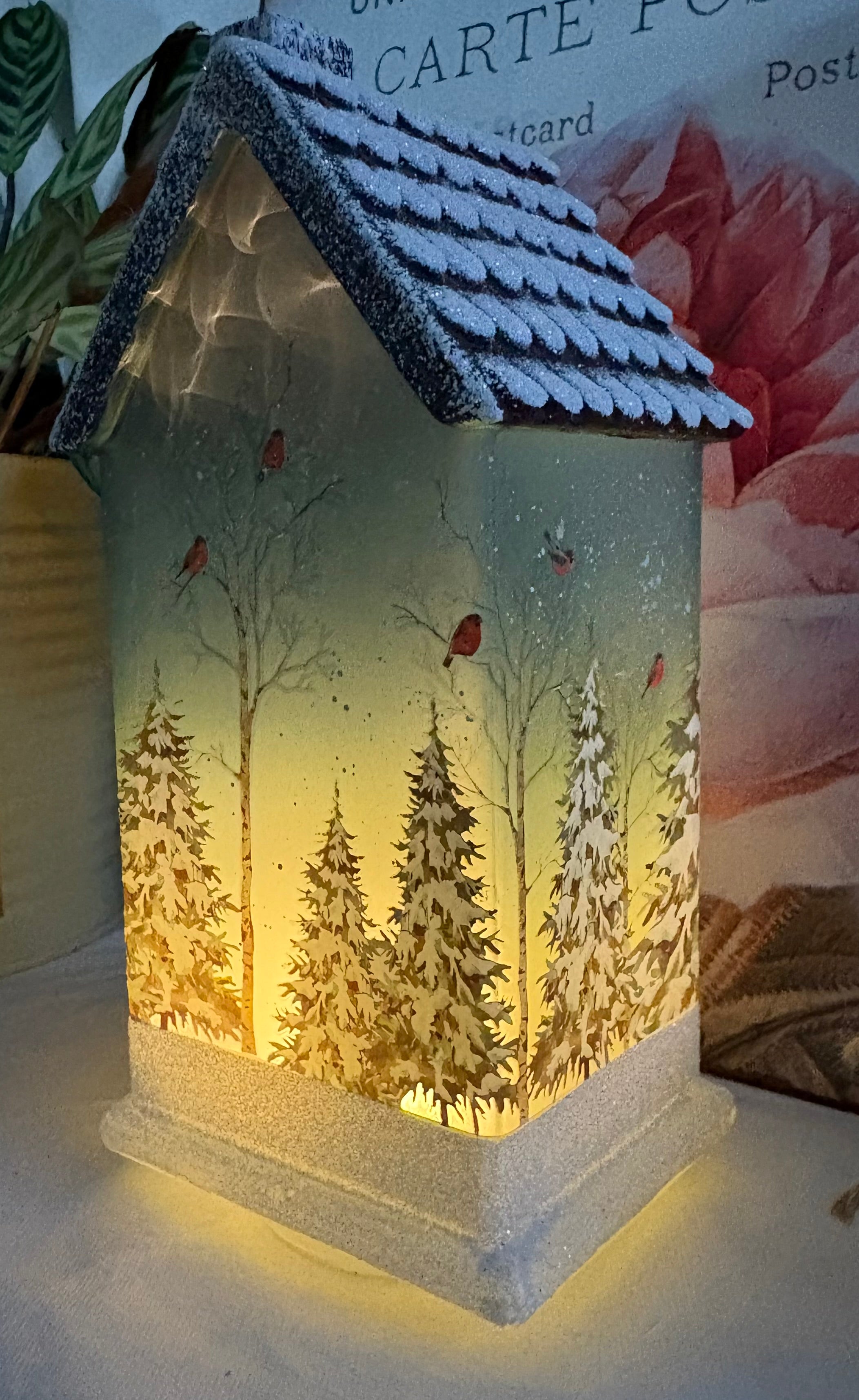 Light UP LED Bird House Ornament