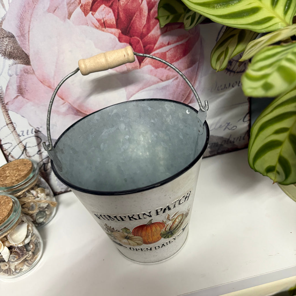 Pumpkin Patch Metal Bucket Planter