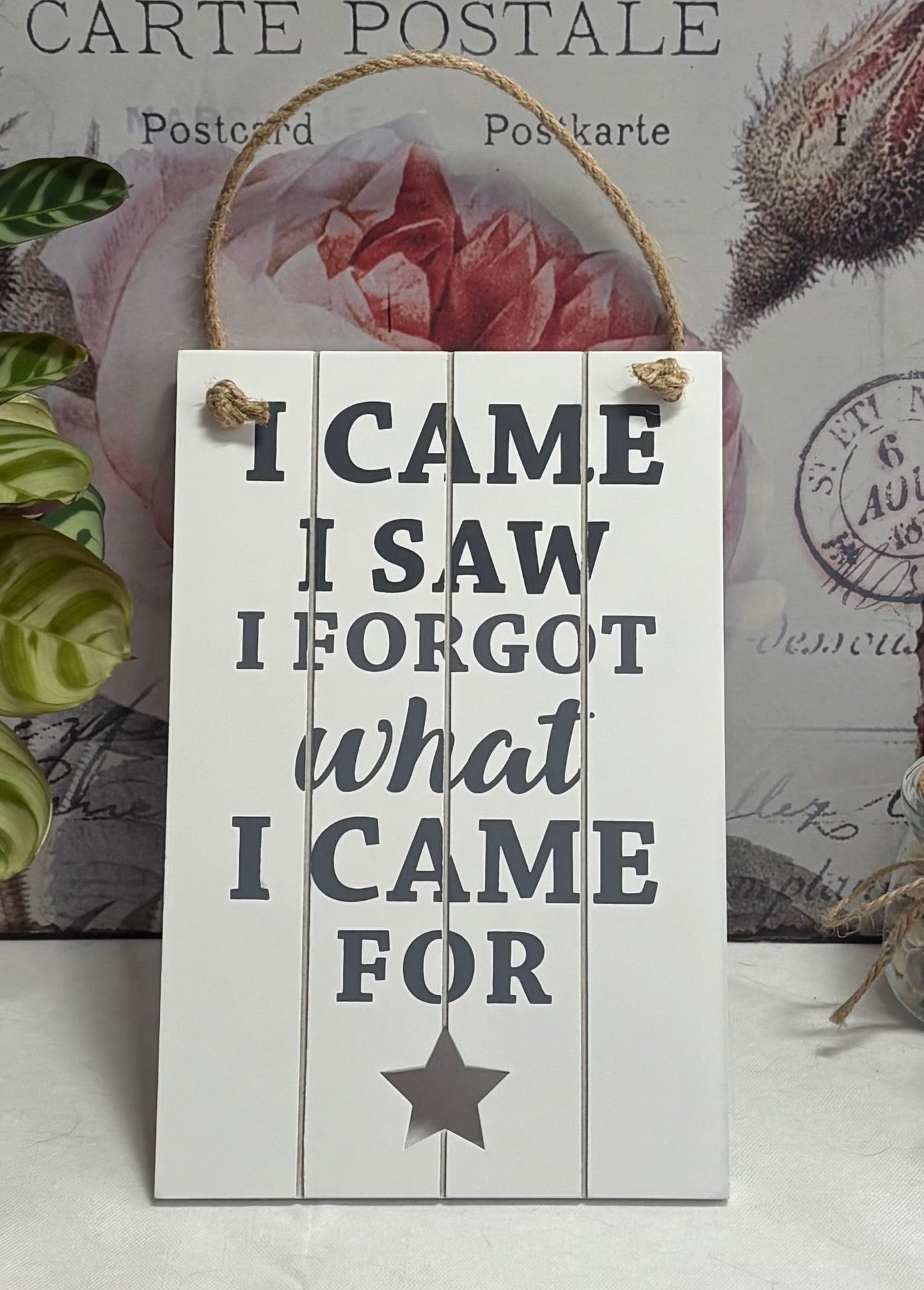 I Came, I Saw, I Forgot Slatted Sign, 23cm