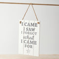 I Came, I Saw, I Forgot Slatted Sign, 23cm