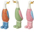 Dotty Ducks in Boots