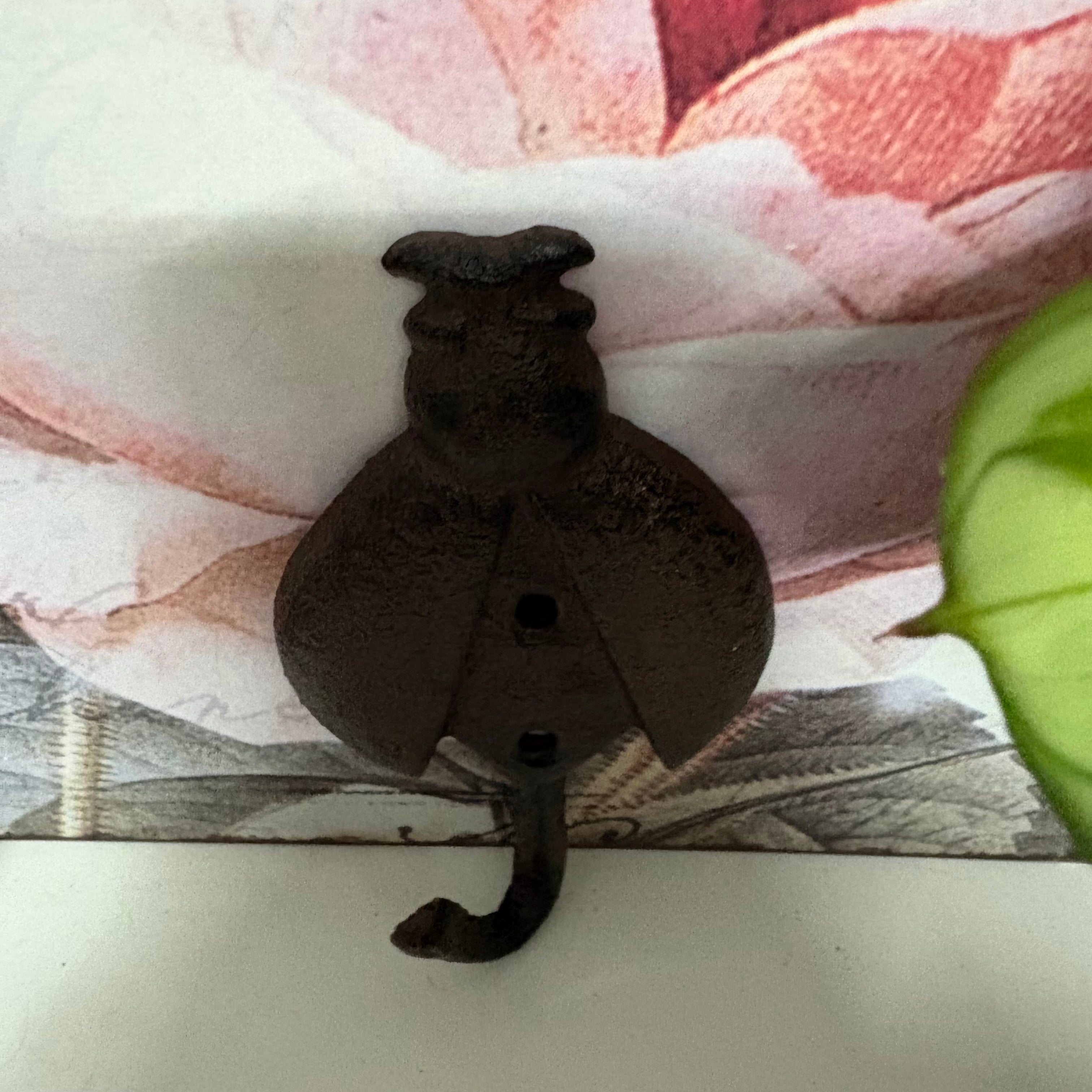Iron Ladybird Indoor or Outdoor Hook