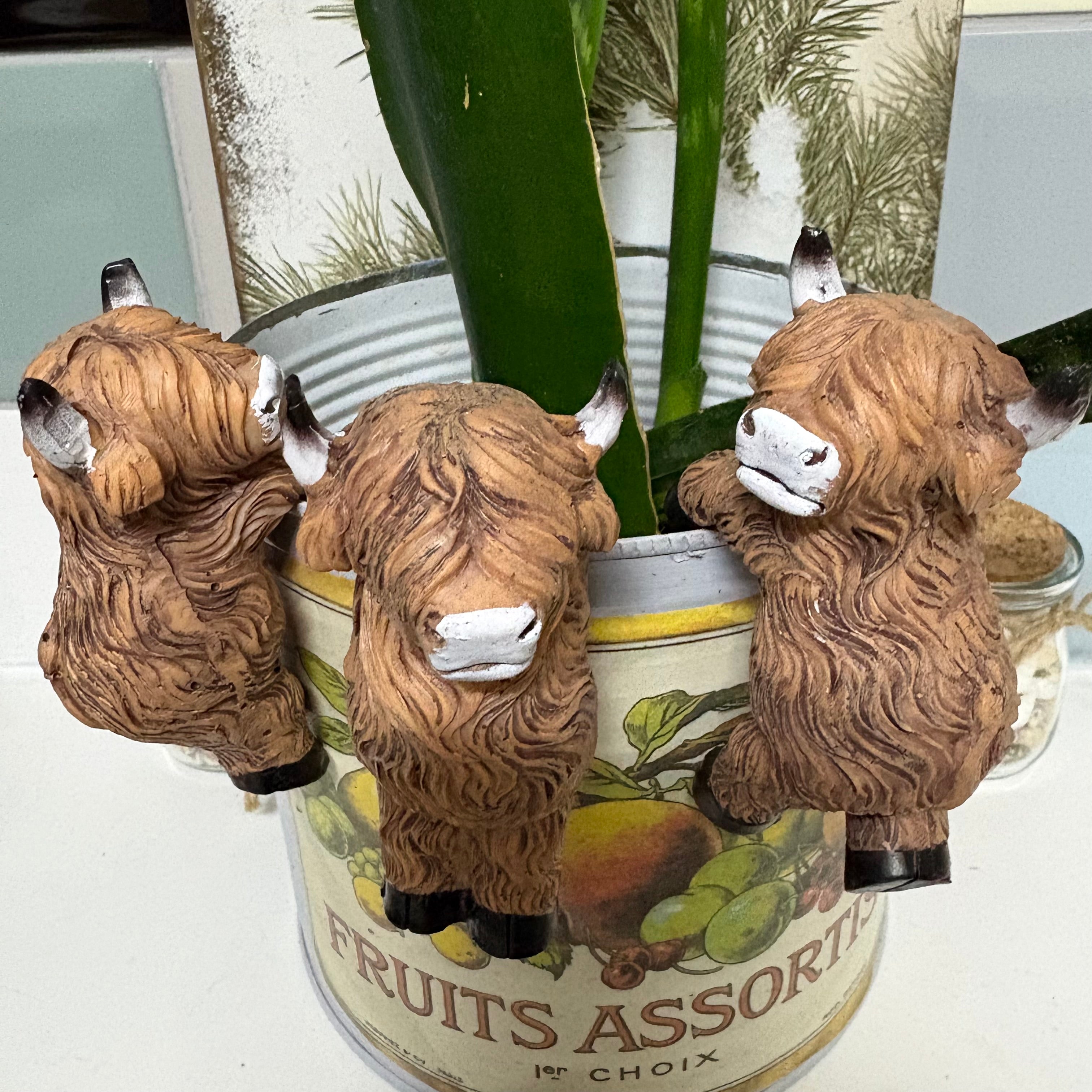 Set of 3 Highland Cow Resin Pot Hangers