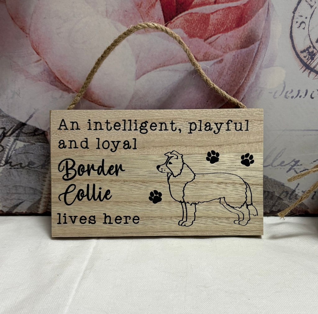Border Collie Hanging Sign, 15cm