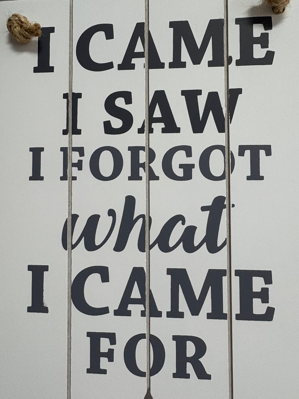 I Came, I Saw, I Forgot Slatted Sign, 23cm