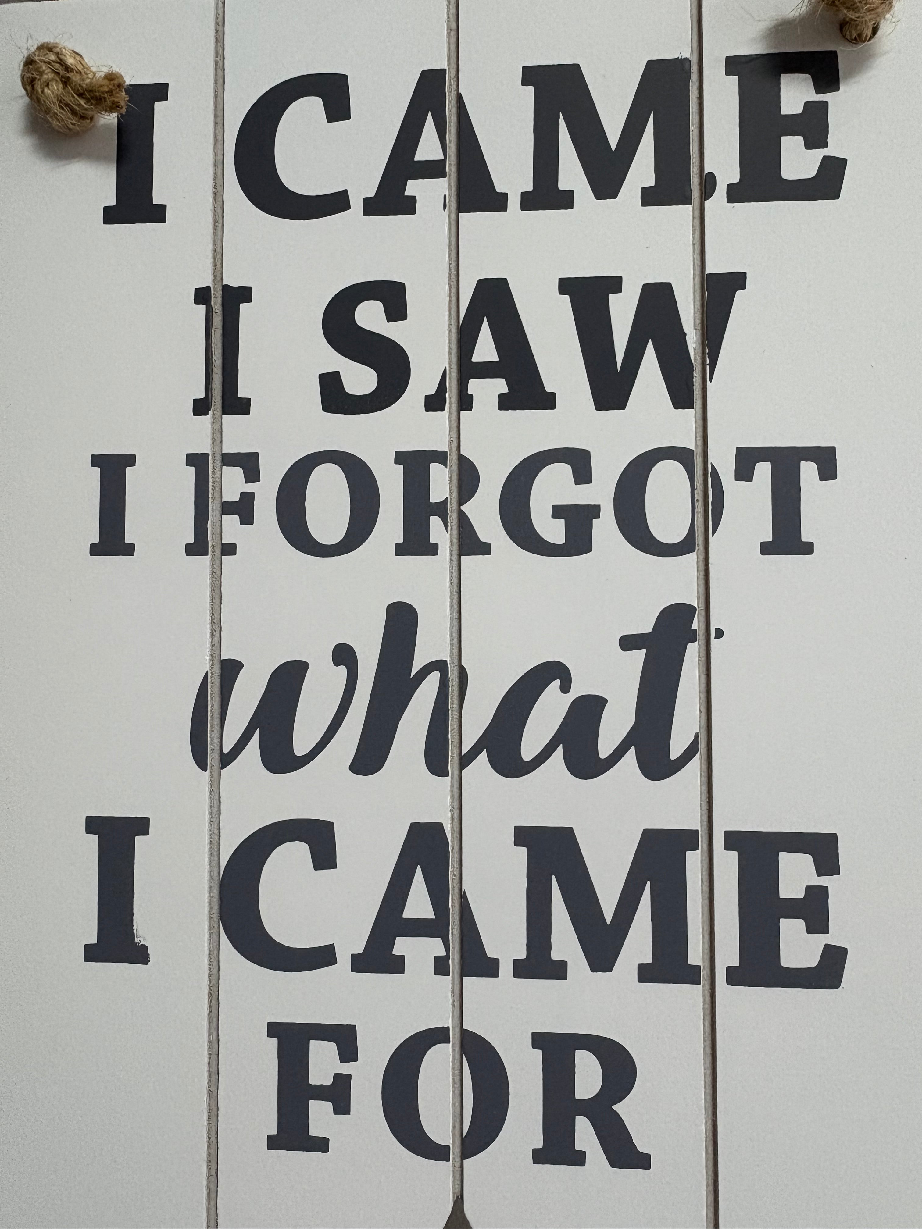 I Came, I Saw, I Forgot Slatted Sign, 23cm