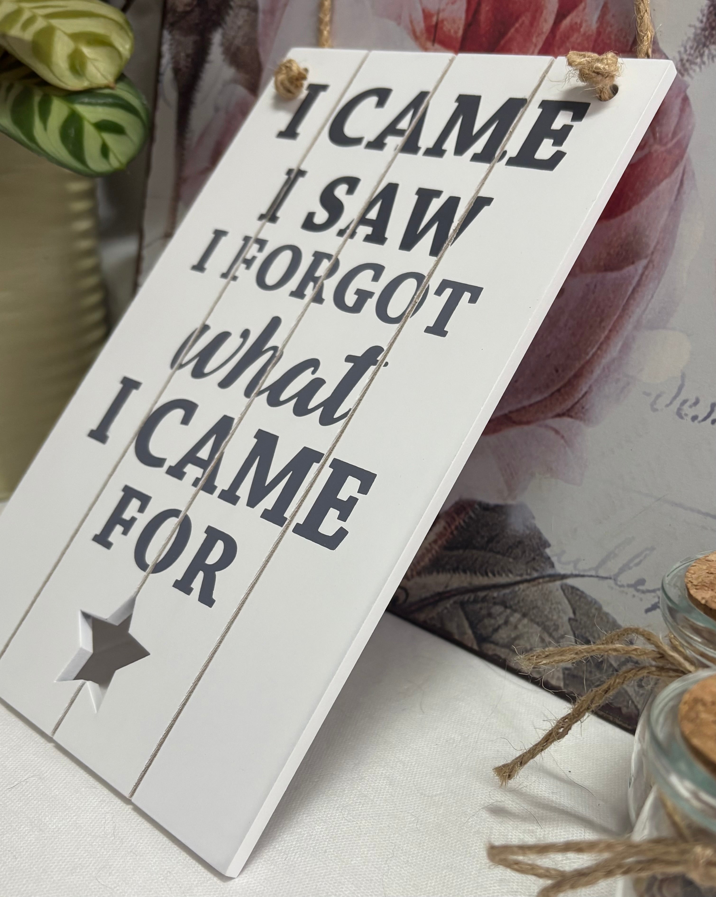 I Came, I Saw, I Forgot Slatted Sign, 23cm