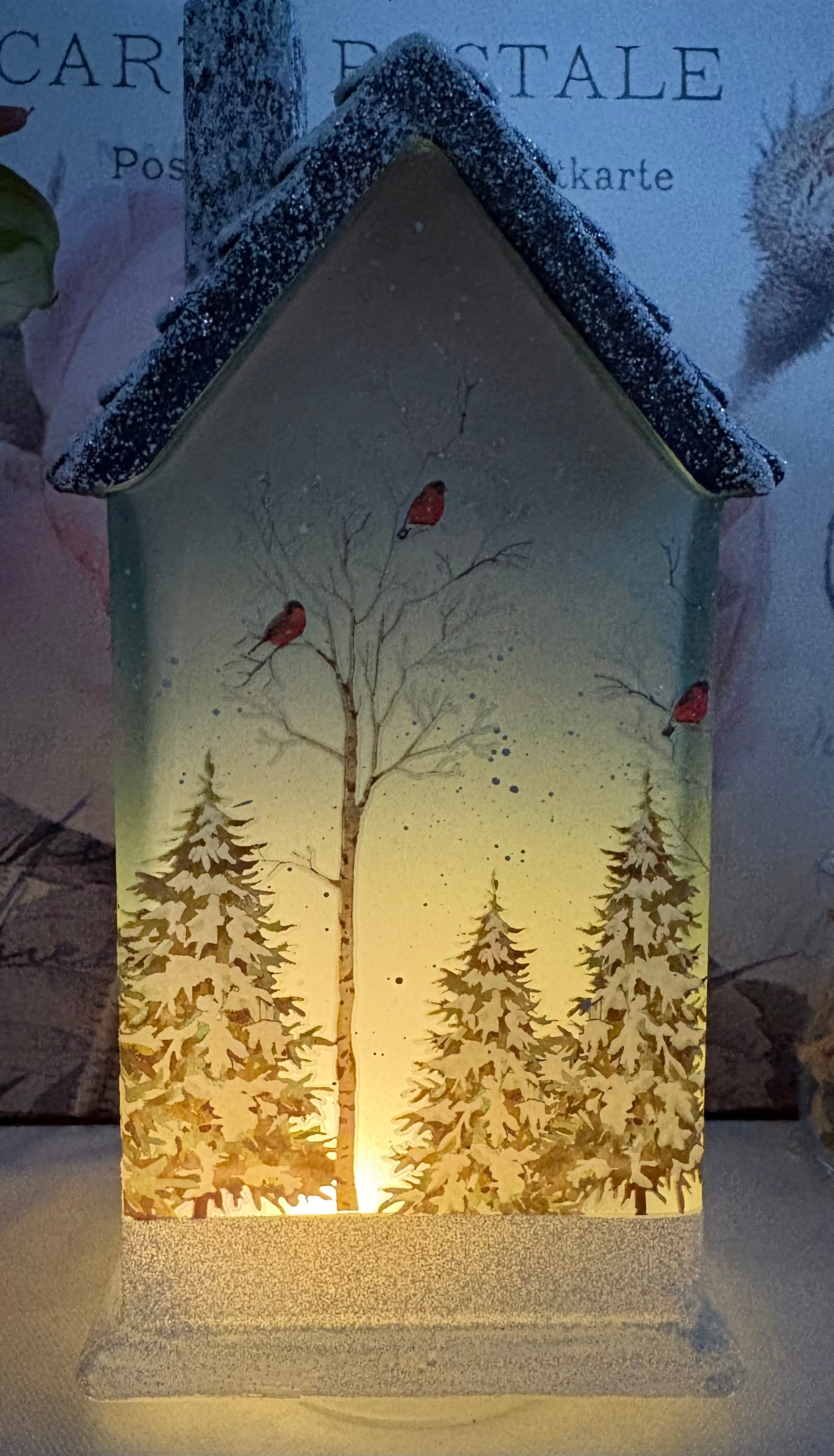Light UP LED Bird House Ornament