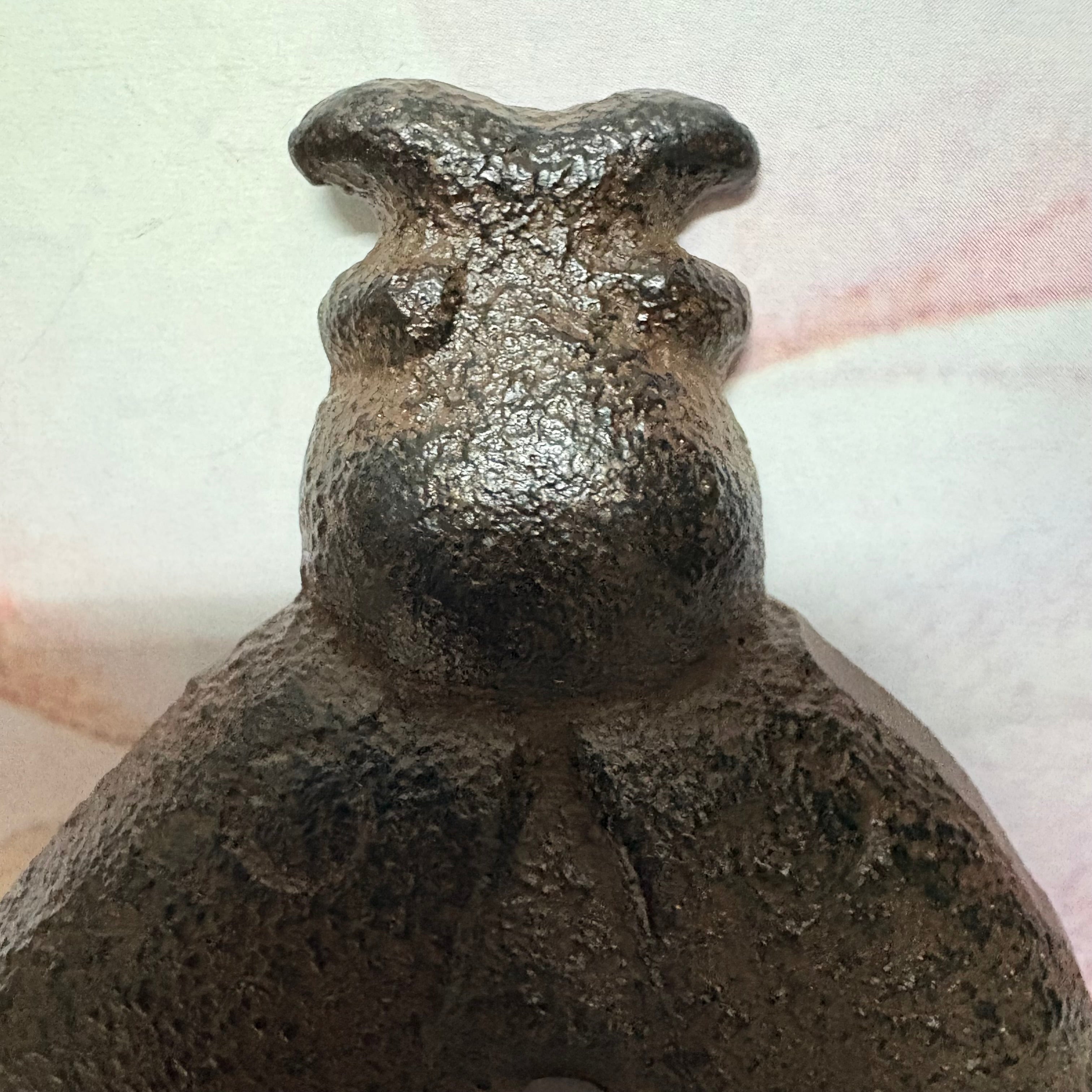 Iron Ladybird Indoor or Outdoor Hook