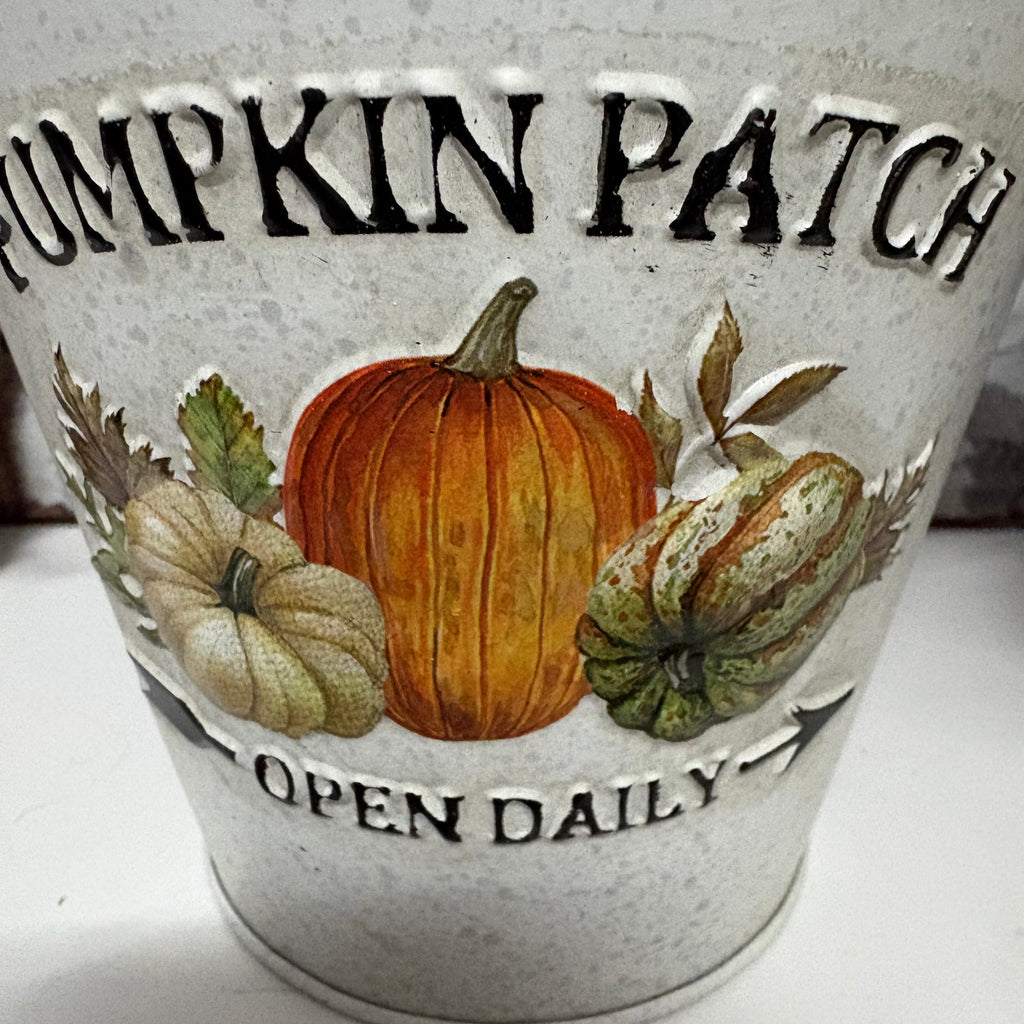 Pumpkin Patch Metal Bucket Planter