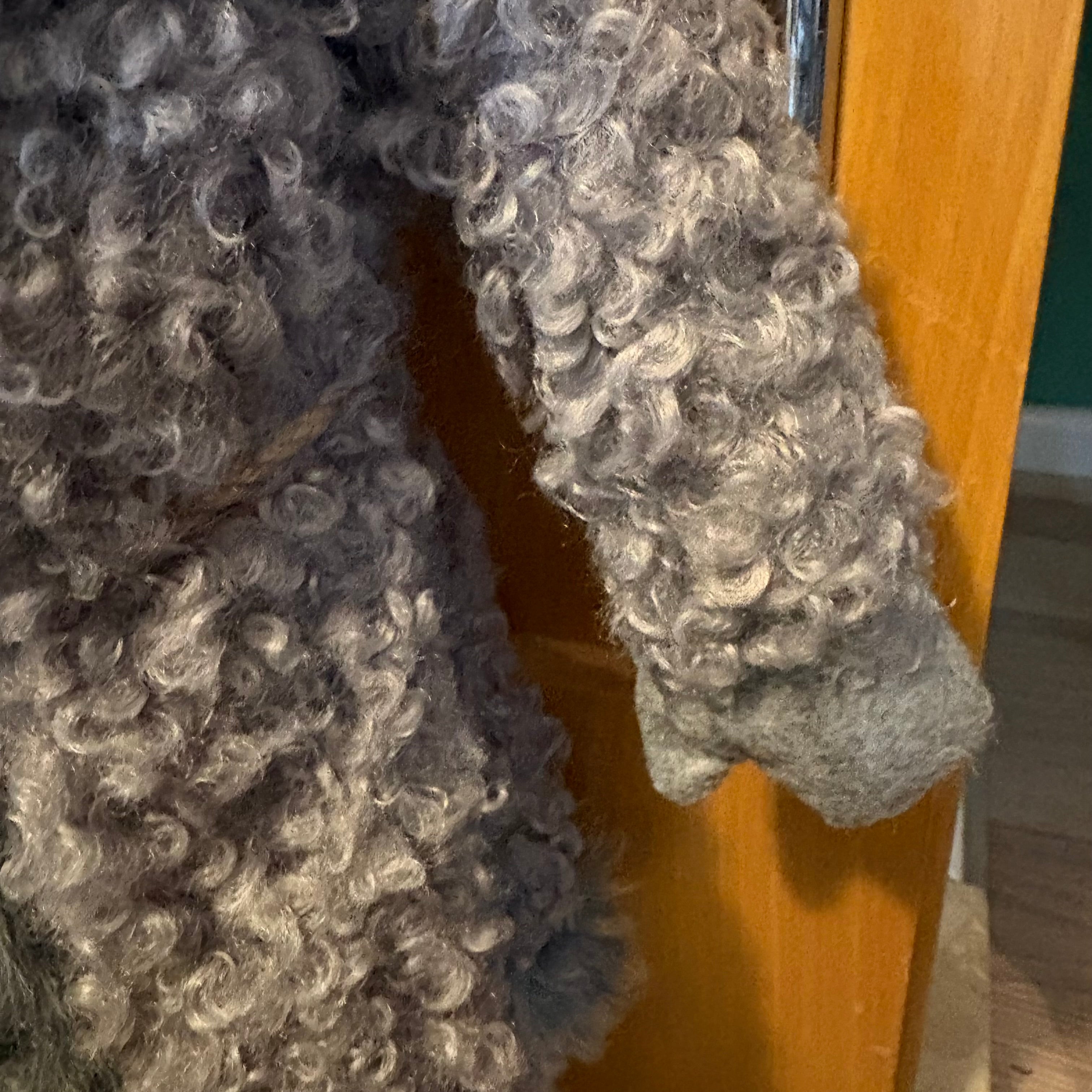 Grey Standing Gonk Christmas Decoration