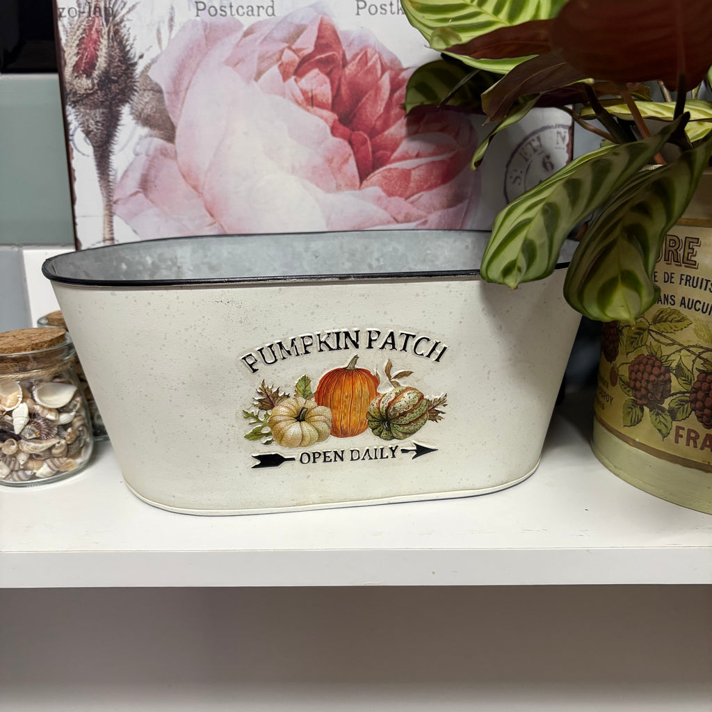 Pumpkin Patch Metal Oval Planter