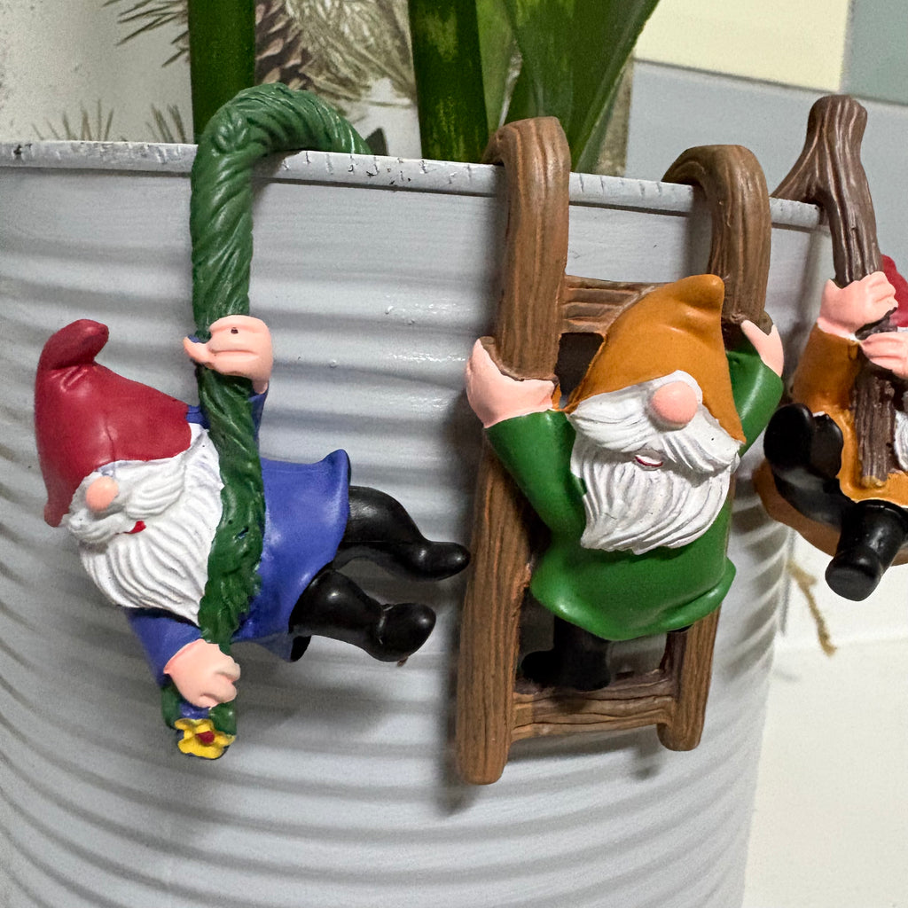 Set of 3 Gnome Resin Pot Hangers