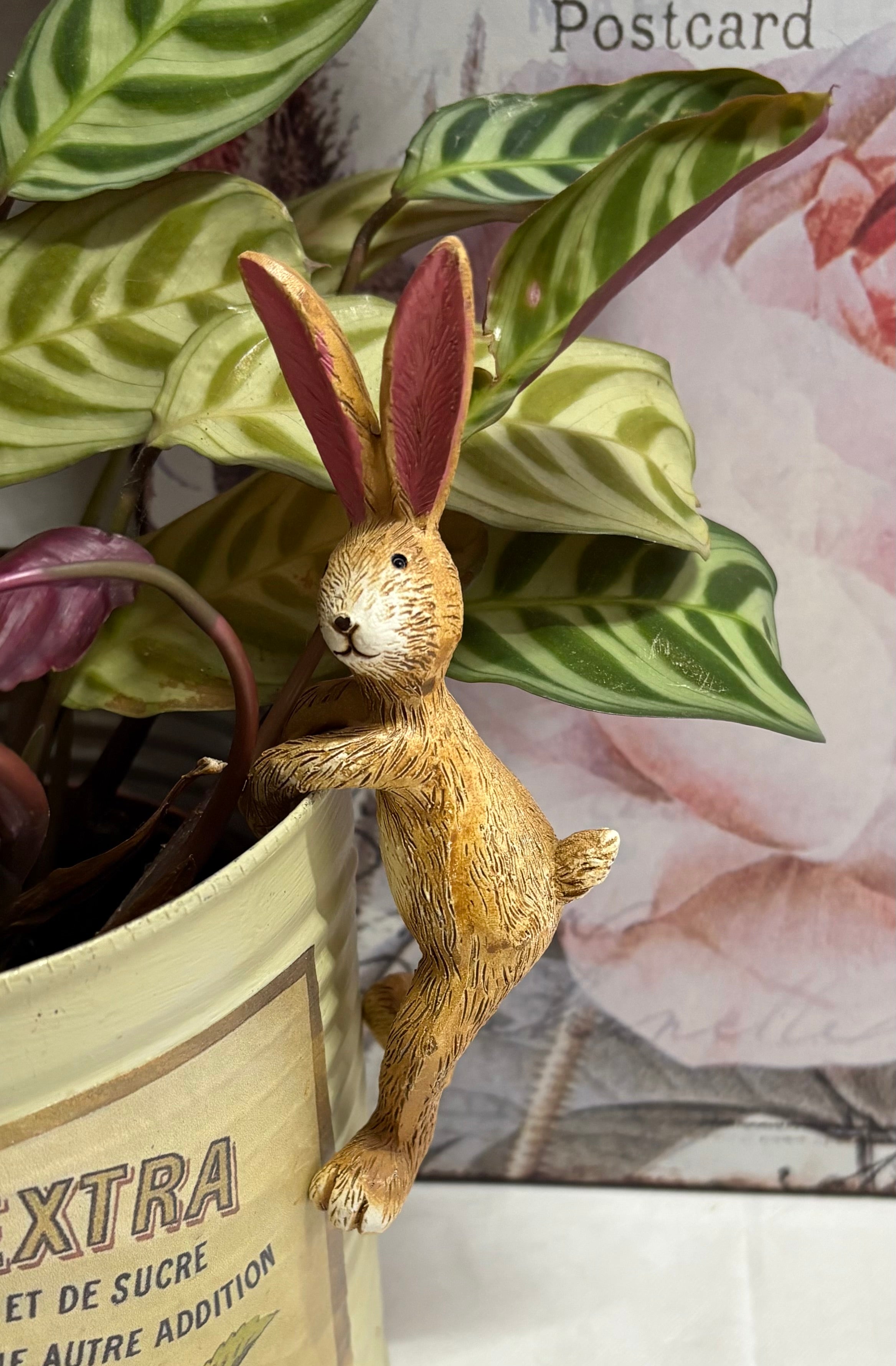 Brown Bunny Rabbit Figure Pot Hanger, 14cm