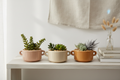 All 3 Succulent Planters Lifestyle