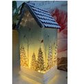 Light UP LED Bird House Ornament