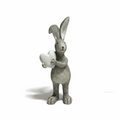 Grey Rabbit with White Background
