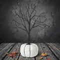 Black Tree In Pumpkin Halloween Decoration