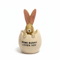 Some Bunny Loves You - White Background