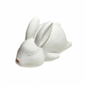 Square white bunny figurines with background removed